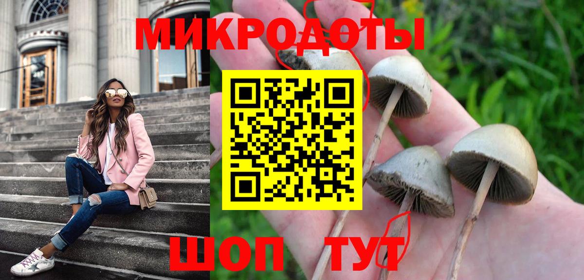 Галлюциногенные грибы Cubensis Кинель