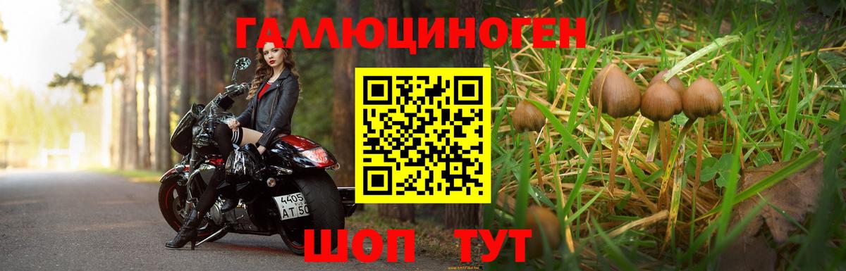Псилоцибиновые грибы прущие грибы  Вход с VPN  Галлюциногенные грибы мицелий  Кинель 